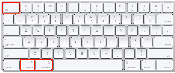 Keyboard with Esc, option, and command keys highlighted